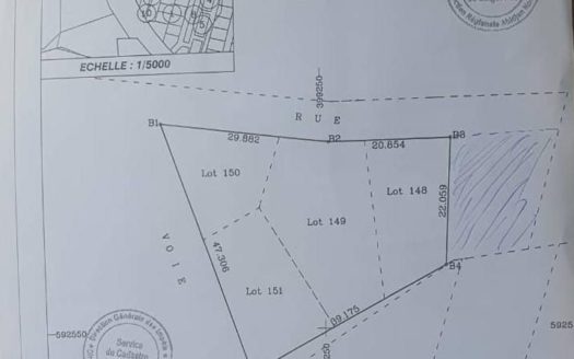 TERRAIN COMMERCIAL 1431m2 BINGERVILLE