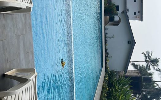 ASSINIE TERMINAL : CHALET SUR 8000 M2 À VENDRE