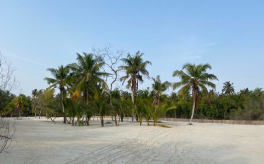 ASSINIE FRANCE : TERRAIN DE 600 M2 AVEC ACD À VENDRE