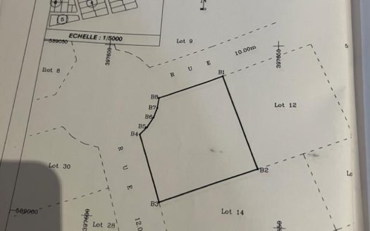 TERRAIN COMMERCIAL 700m2 RIVIERA ABATTA