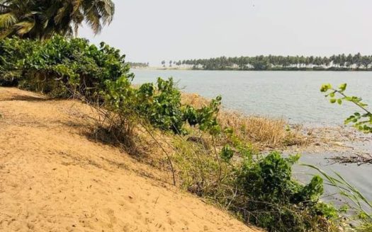 5HECATRES BORDURE LAGUNE GRAND BASSAM