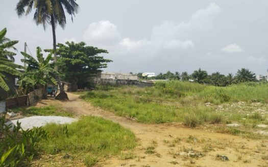 TERRAIN 1HECTARES YOPOUGON NIANGON