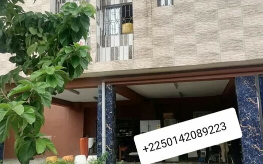 Vente d,un triplex de 12 pièces à la Riviera Bonoumin