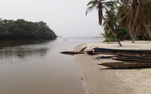 ASSINIE KM 17 : 2 HA  AVEC APPROBATION A VENDRE SUR UNE îLE