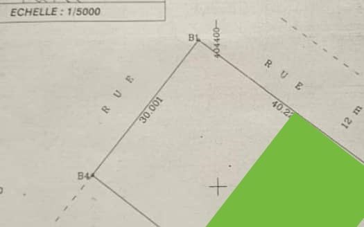 TERRAIN COMMERCIAL 600m2 BINGERVILLE ANNA