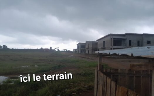5HECTARES  BINGERVILLE M’BATTO BOUAKE