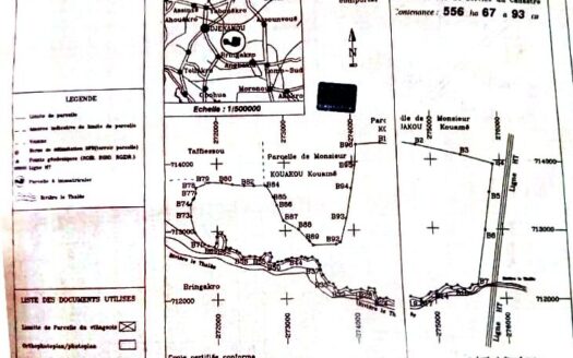 300 hectares de forêts à 7 km de l&rsquo;autoroute de Toumodi à vendre pour de grands projets avec titre foncier
