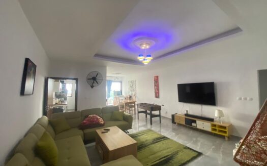 APPARTEMENT 145m2 4PIECES 2PLATEAUX POLYCLINIQUE