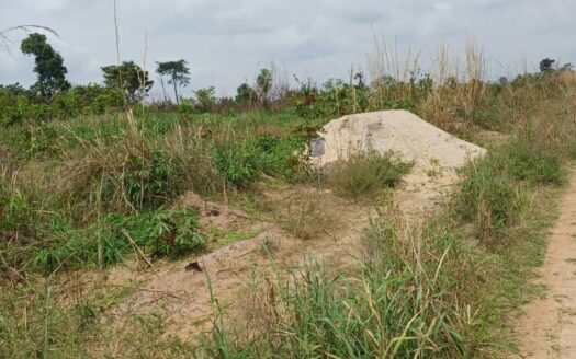 PLUSIEURS TERRAINS EN VENTE A YAMOUSSOUKRO