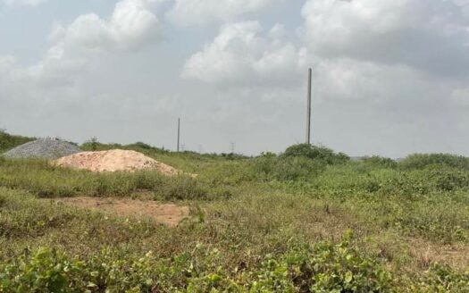 TERRAINS EN VENTE A SONGON