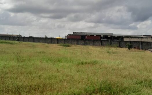 Terrains – 100 lots de 500 m2 à Liquider