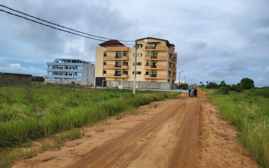 TERRAIN EN VENTE A BASSAM MOCKEY-VILLE