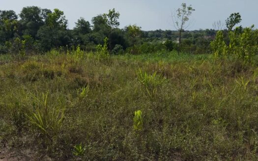 VENTE DE TERRAIN A AZAGUIE