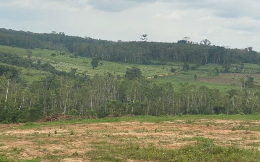 A vente : des hectares