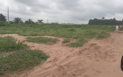 10 lots de 500 m2 à vendre à ANGRE 10 ème tranche