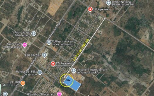 PARCELLE DE 2 Ha en vente à YAMOUSSOUKRO près de l&rsquo;INP HB