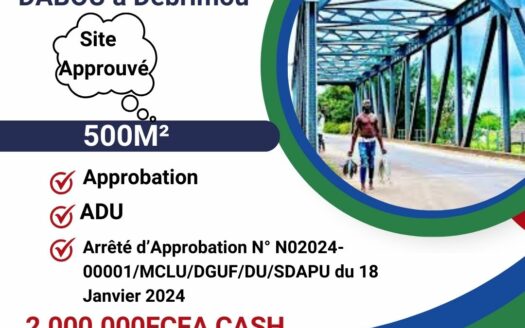 Terrain à DABOU DEBRIMOU