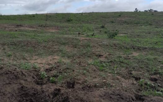 ANGRÉ 10 ÈME TRANCHE (NOUVEAU COCODY) |™ *VENTE D&rsquo;UNE MAGNIFIQUE PARCELLE D&rsquo;UN HECTARE AVEC ACD