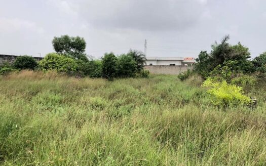 AUTOROUTE GRAND BASSAM,1000 M2 AVEC ACD A VENDRE À 85.000.000 F