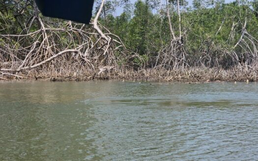 Vente de Terrain  assinie quartier france