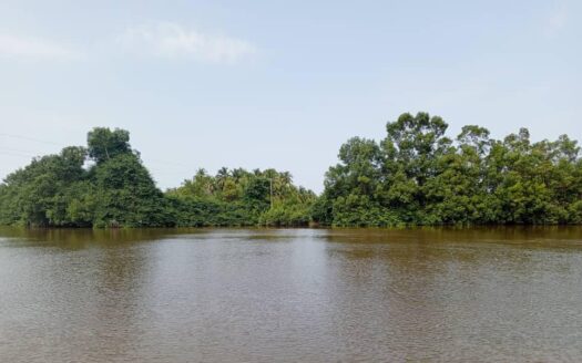 Terrain en vente à assinie pk16