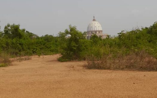 TRICASSOU BASILIQUE TERRAIN A L&rsquo;ANGLE DE RUE