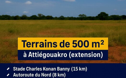 INVESTISSEZ À YAMOUSSOUKRO