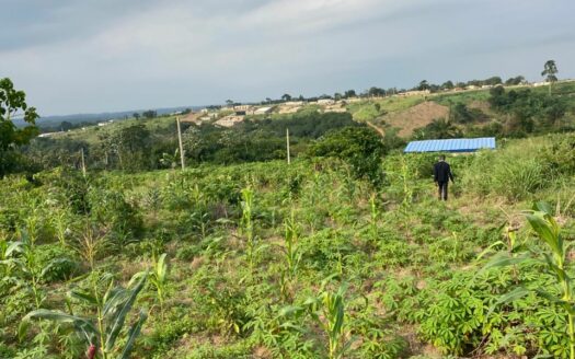 TERRAIN EN VENTE A SIPO