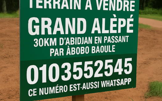 TERRAIN A VENDRE GRAND ALEPE