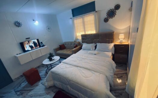 Image du développeur