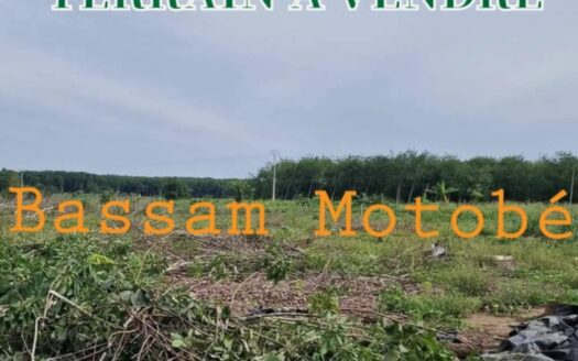 VENTE DE TERRAIN A  GRAND BASSAM MOTOBE