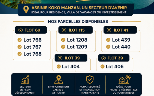 ASSINIE FRANCE : lot de 1000 m2 à 15.000.000 f