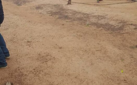 Lotissement tricassou basilique yamoussoukro