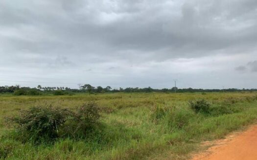 TERRAIN A GRAND BASSAM MOTOBE