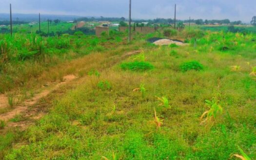 Terrain en vente à SIPO