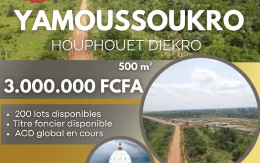OFFRE SPECIAL – LOTS DE TERRAIN A YAMOUSSOKRO