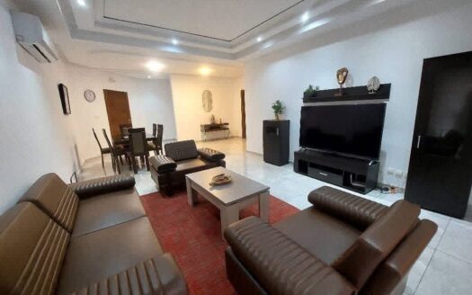 3 appartements meublés en location