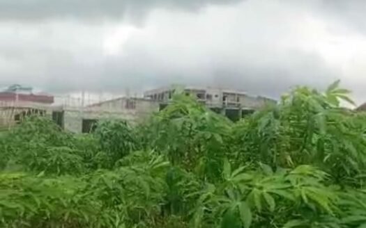 VENTE TERRAIN 500M² BINGERVILLE ZONE PALAIS DE JUSTICE