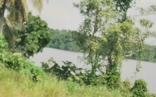 Assinie terrain 15000m² pieds dans l&rsquo;eau