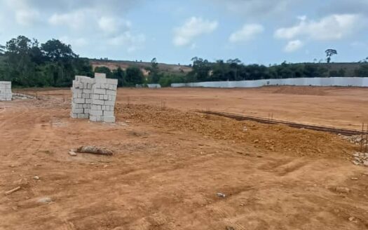 VENTE TERRAIN DE 8.000 M² A BINGERVILLE SEBIA-YAO