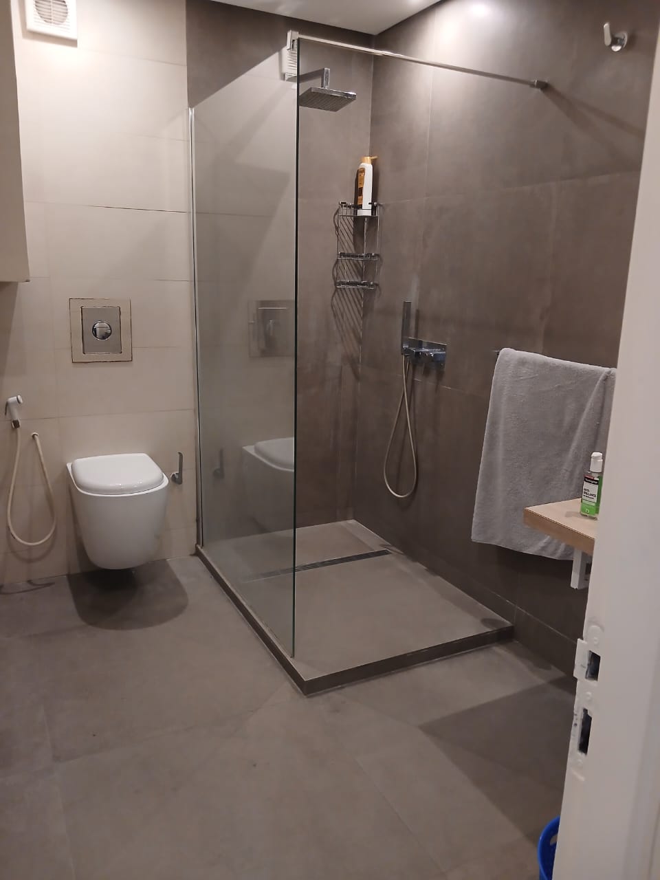 APPARTEMENT DE 4 PIÈCES AU PLATEAU INDENIÉ — photo 5