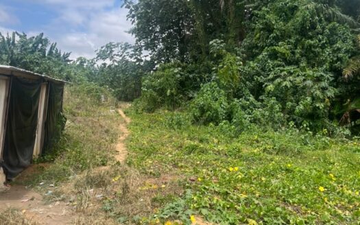 Terrain en vente bregbo pieds dans l’eau