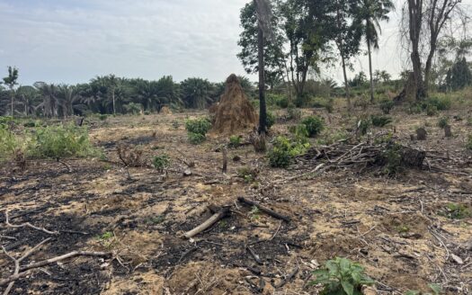 En vente terrain 1 hectares 800 environ avec Acd bordure lac brakré à la baie des milliardaires