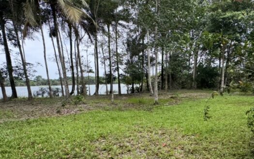 En vente terrain 1 hectares bordure lac brakré avec attestation villageoise à la baie des milliardaires