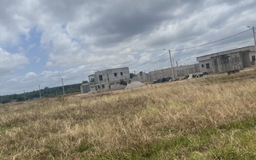 Vente de terrain à bingerville bregbo